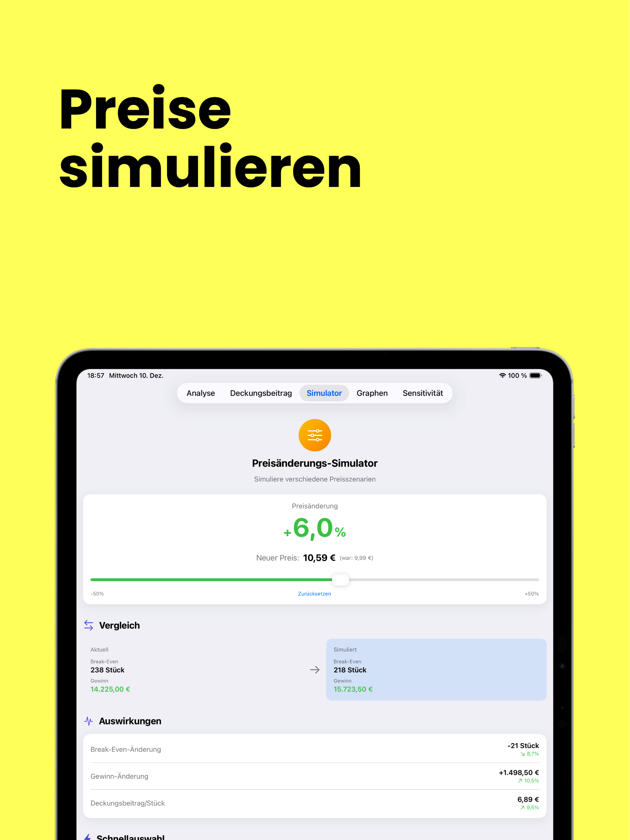 BreakEven-light iPad - Preise simulieren